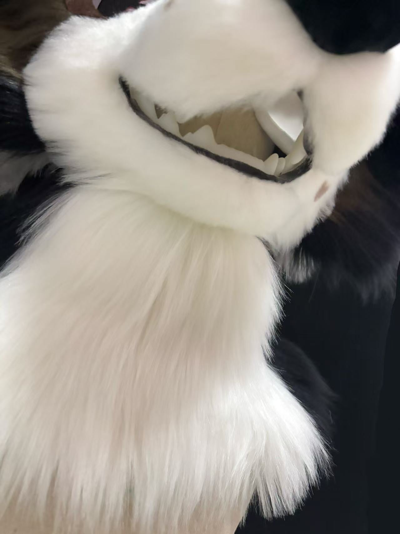 Puppy Fursuit set