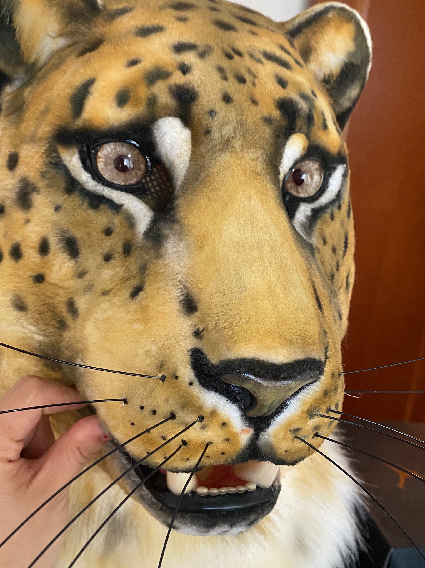 Realistic Leopard Fursuit(Free shipping)