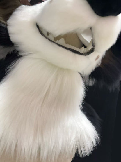 Puppy Fursuit set