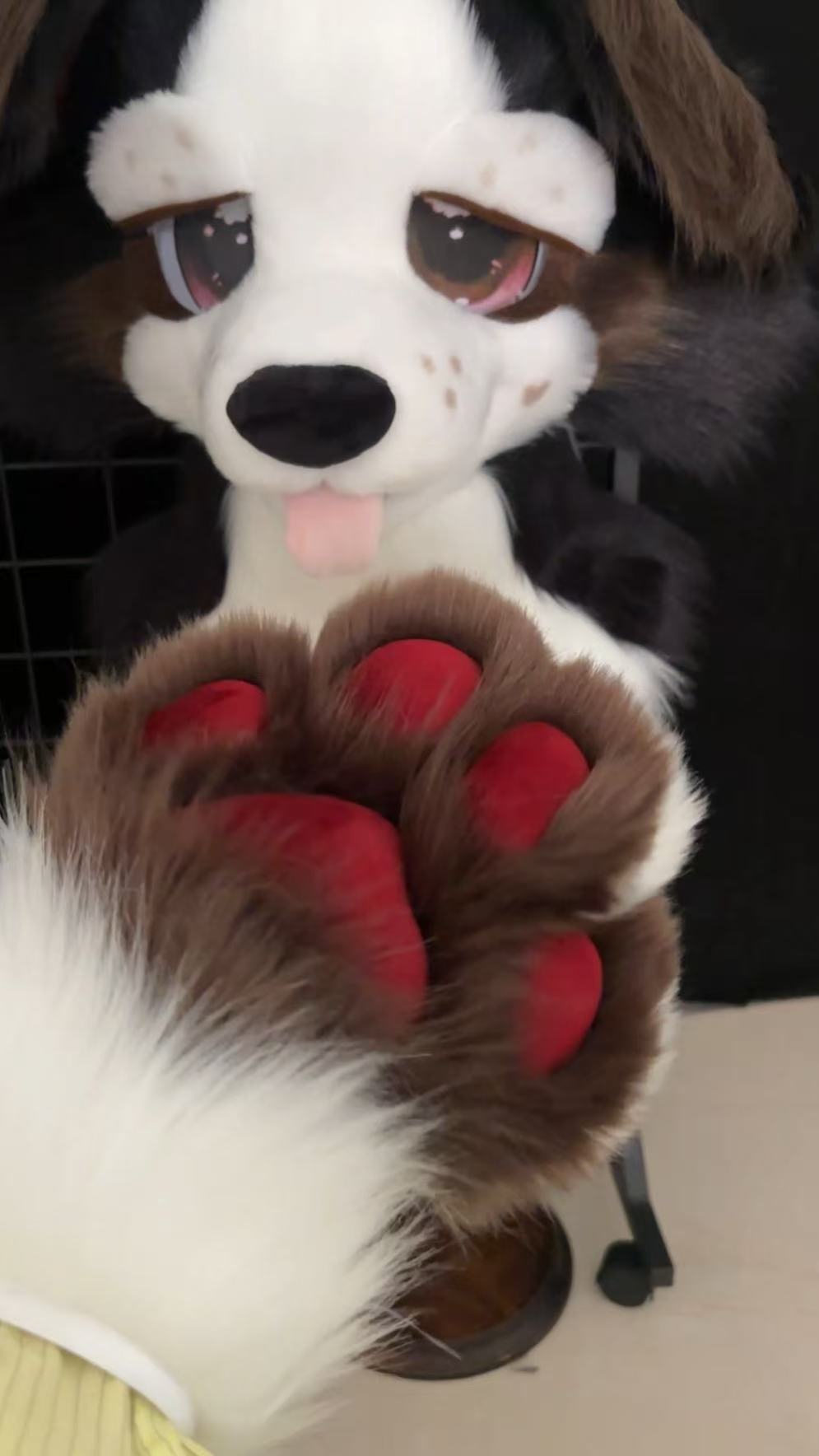 Puppy Fursuit set