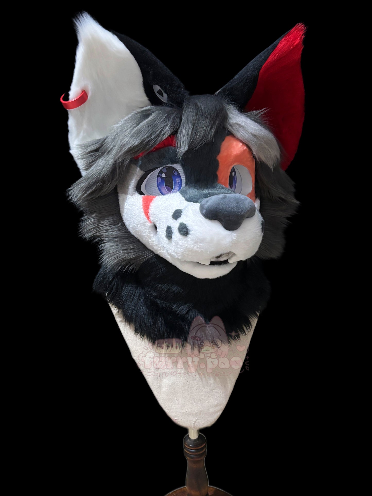 Bat Scar Dog（free shipping)