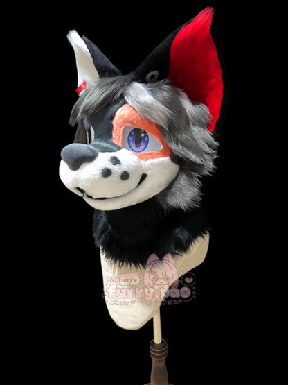 Bat Scar Dog（free shipping)