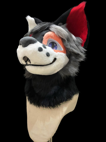 Bat Scar Dog（free shipping)