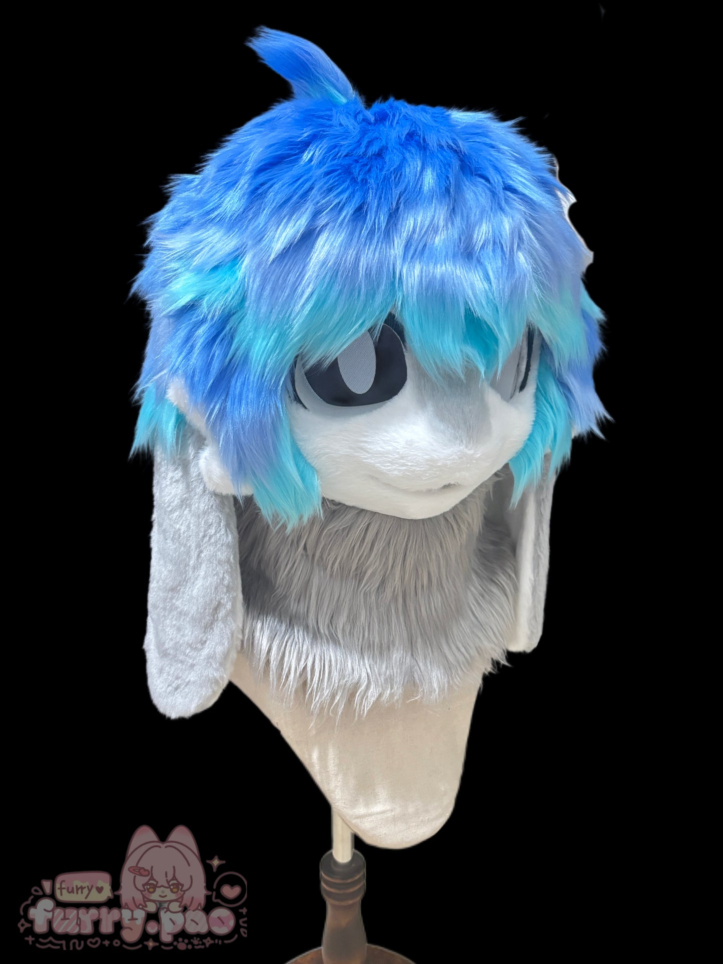 Bunny（free shipping）