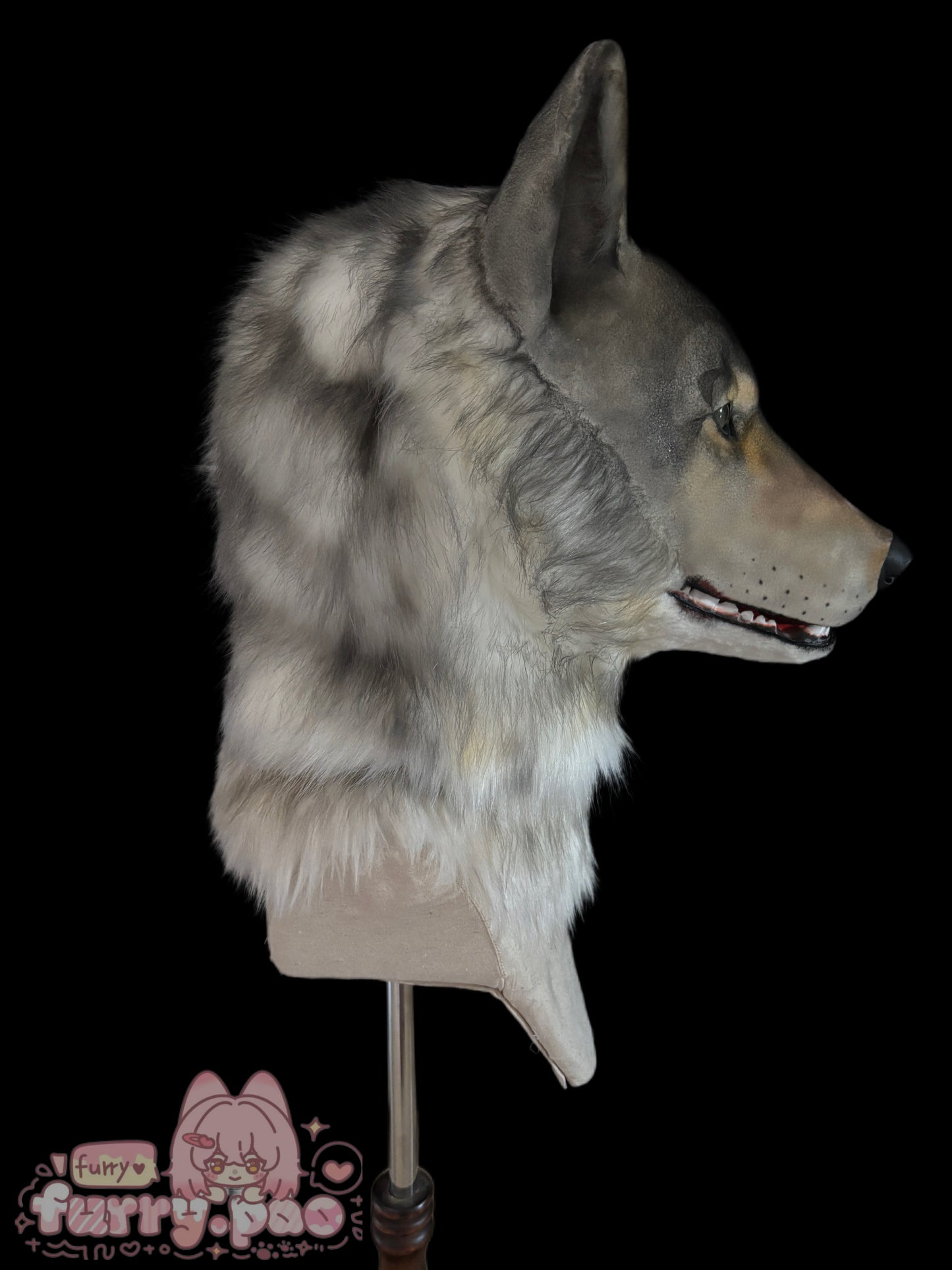 Realistic Gray Wolf