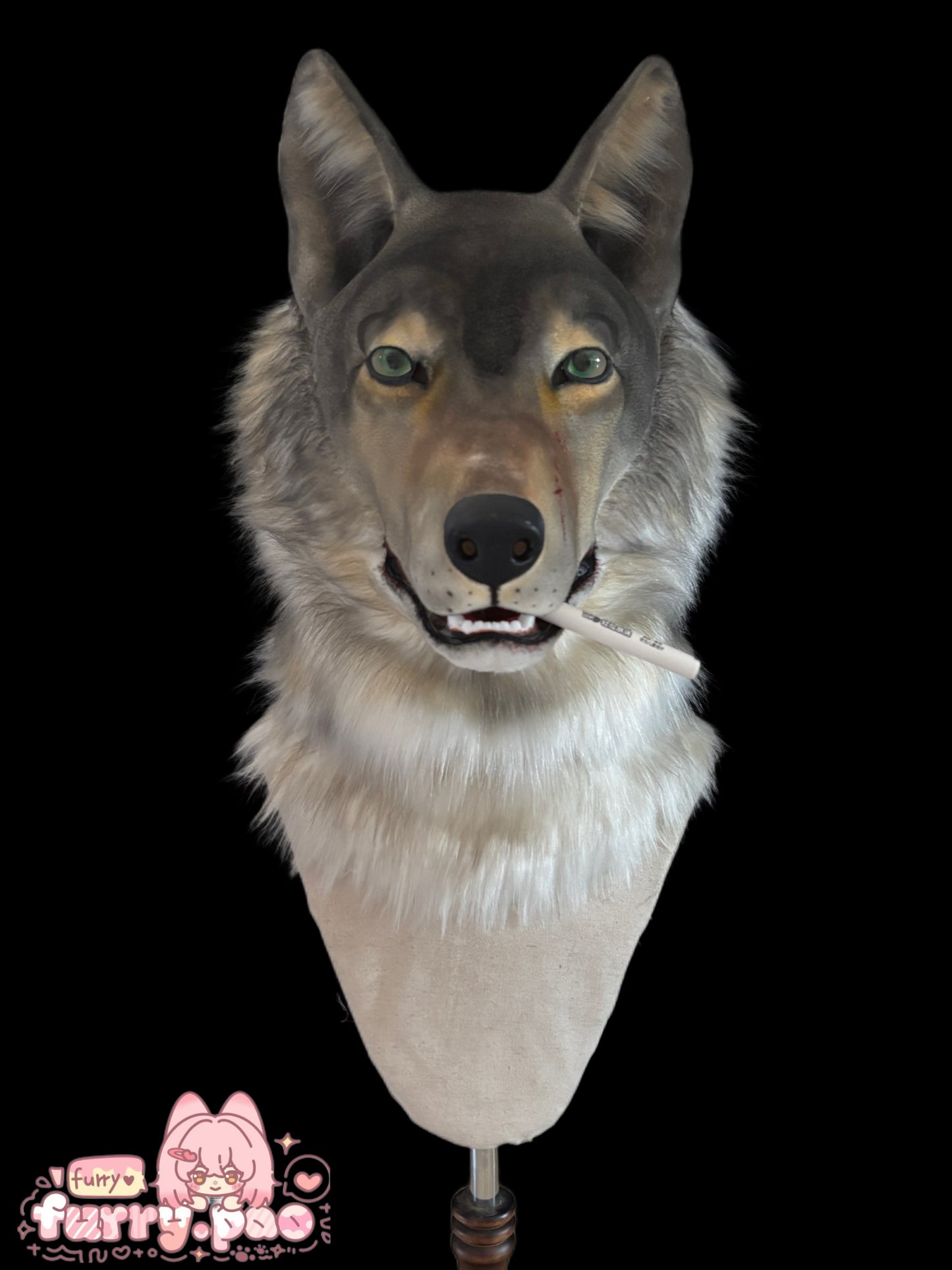 Realistic Gray Wolf