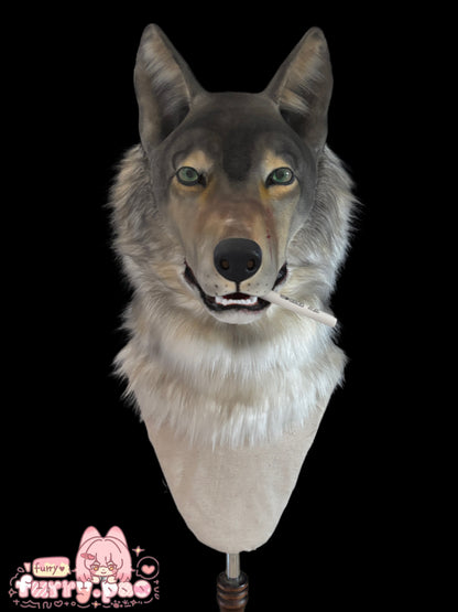 Realistic Gray Wolf