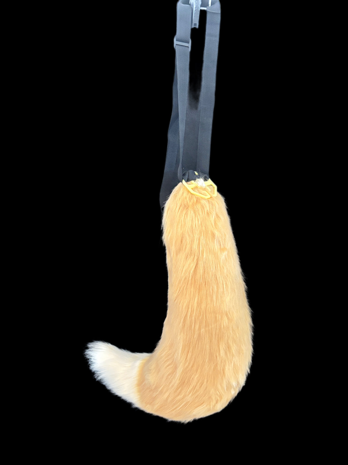 Semi-Realistic Curly Fox