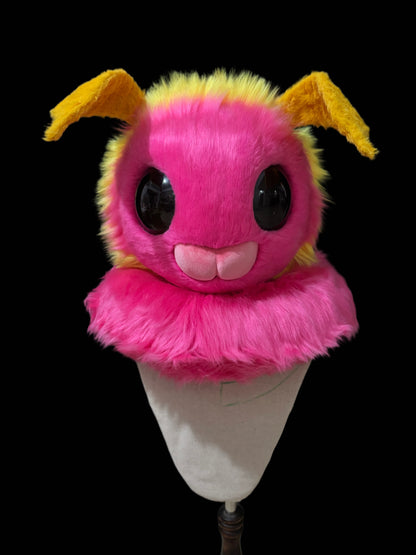 Rose maple moth（free shipping）