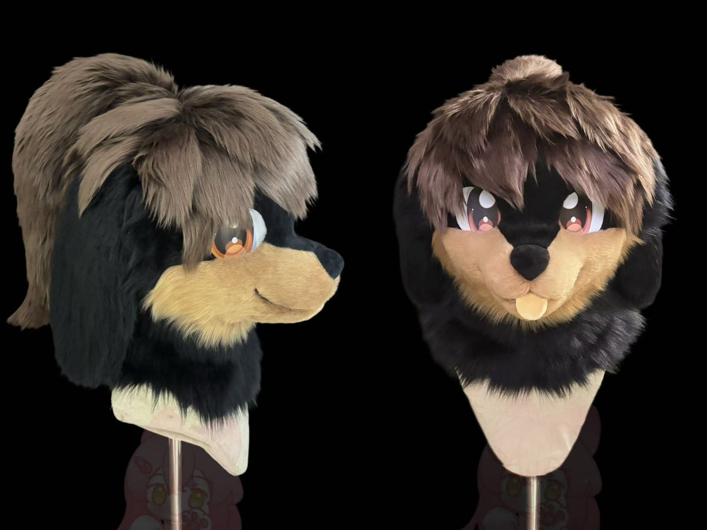Canine NO.2